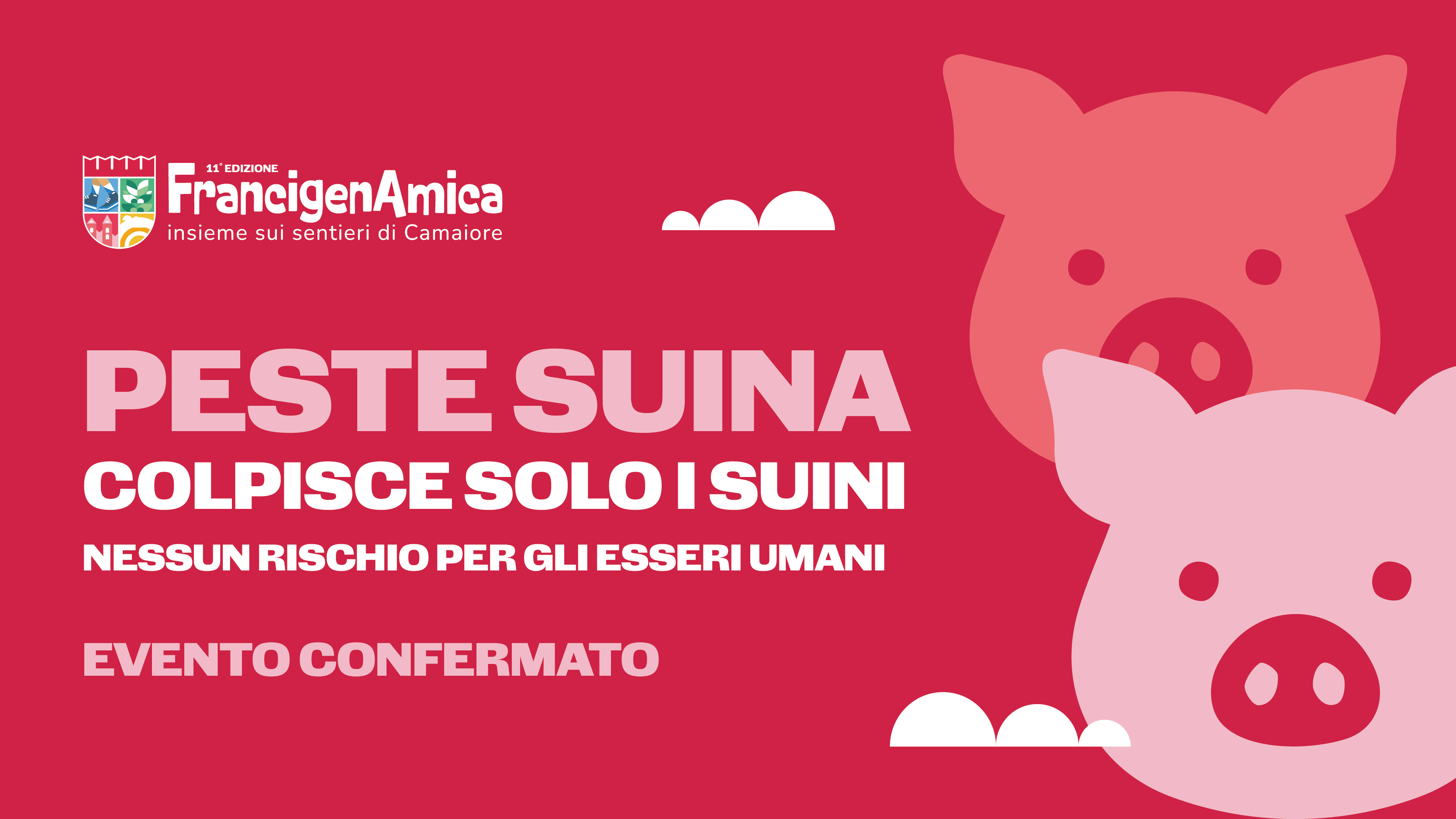Peste Suina: l'11° FrancigenAmica è confermata, nessun rischio per i partecipanti
