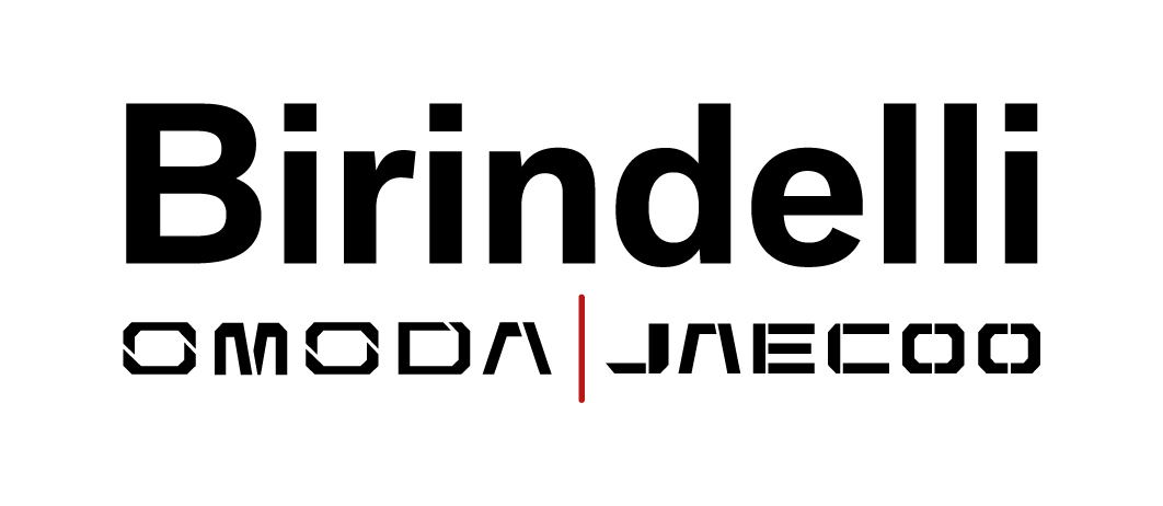 birindelli auto birindelli auto